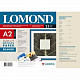 0918023 Дизайнерская бумага Глянцевая (кожа) Lomond А2 (420х594)мм, 230г/м2, 25л. 